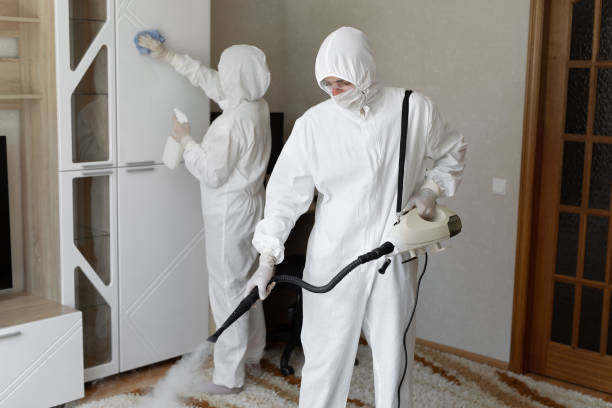 Best Attic Mold Removal  in Rio Vista, CA